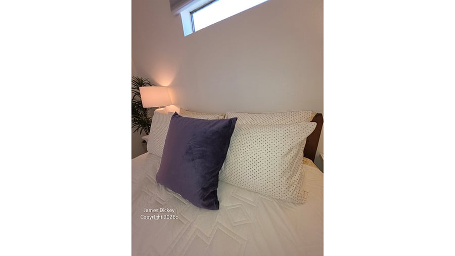 Furnished Finder property 1032934_1 photo 13