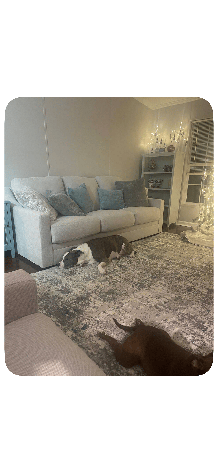 Furnished Finder property 1032963_1 photo 8