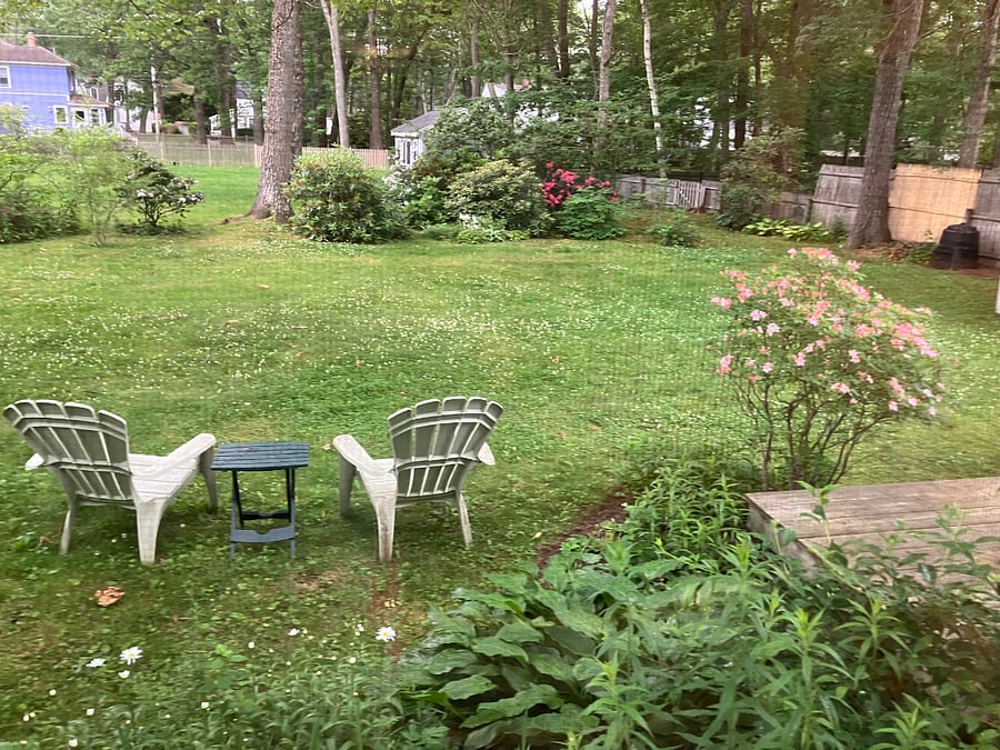 Backyard