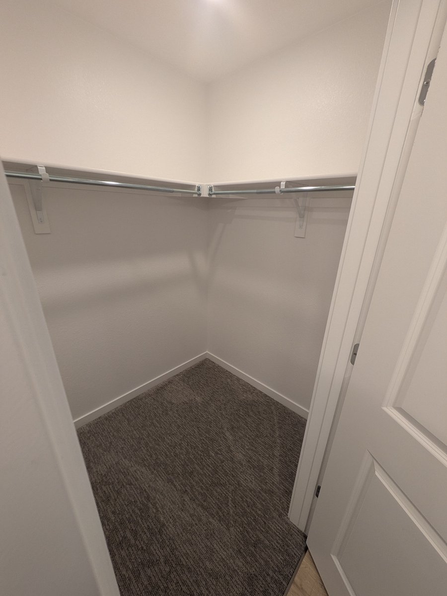 Master closet (walk-in)