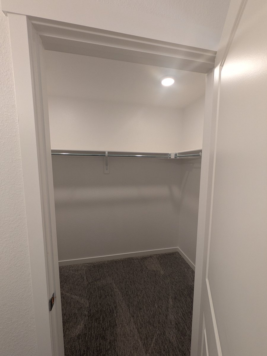 Master closet (walk-in)