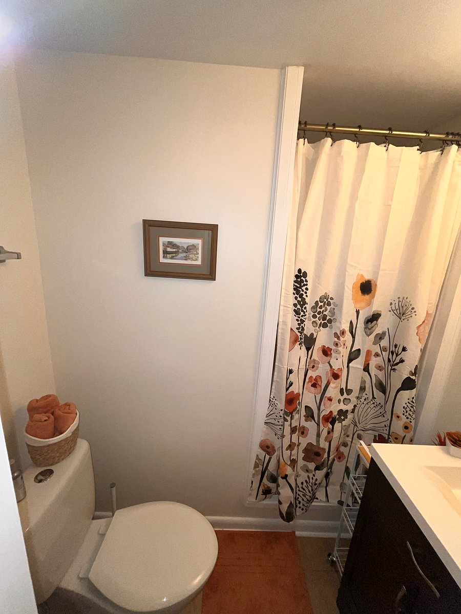 Furnished Finder property 1033080_1 photo 19
