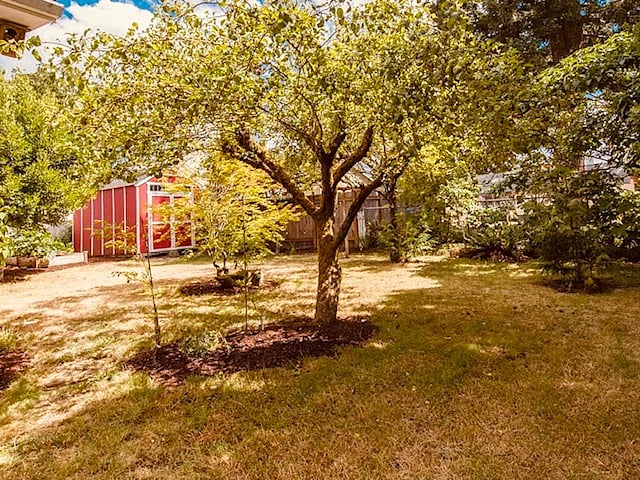 Furnished Finder property 1033234_1 photo 13