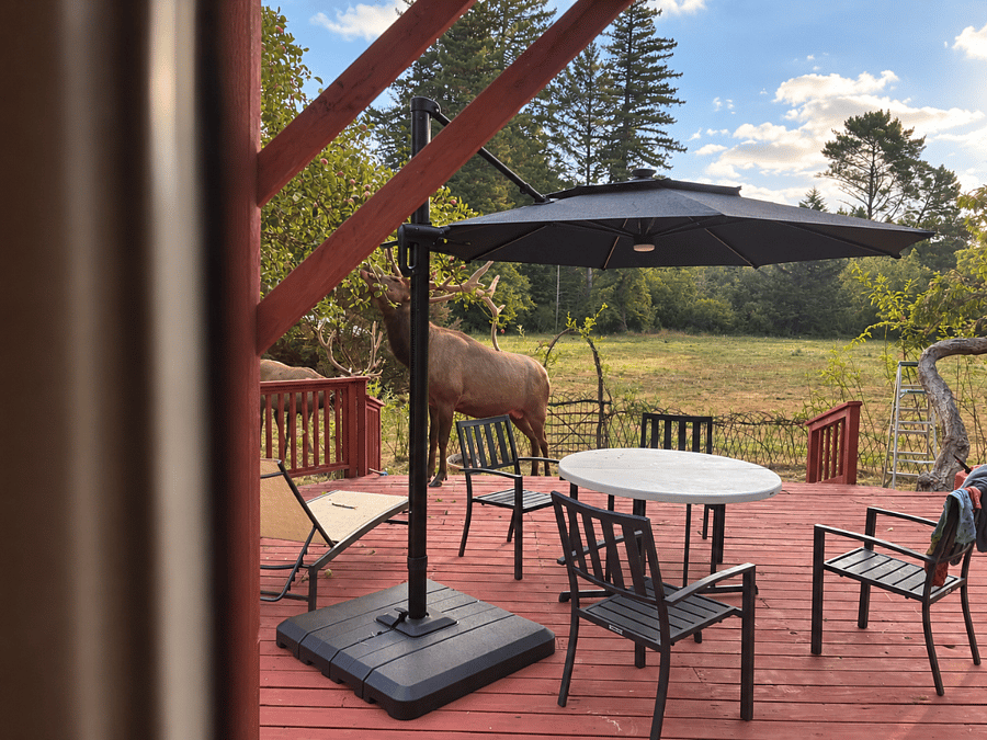 Furnished Finder property 1033376_1 photo 15