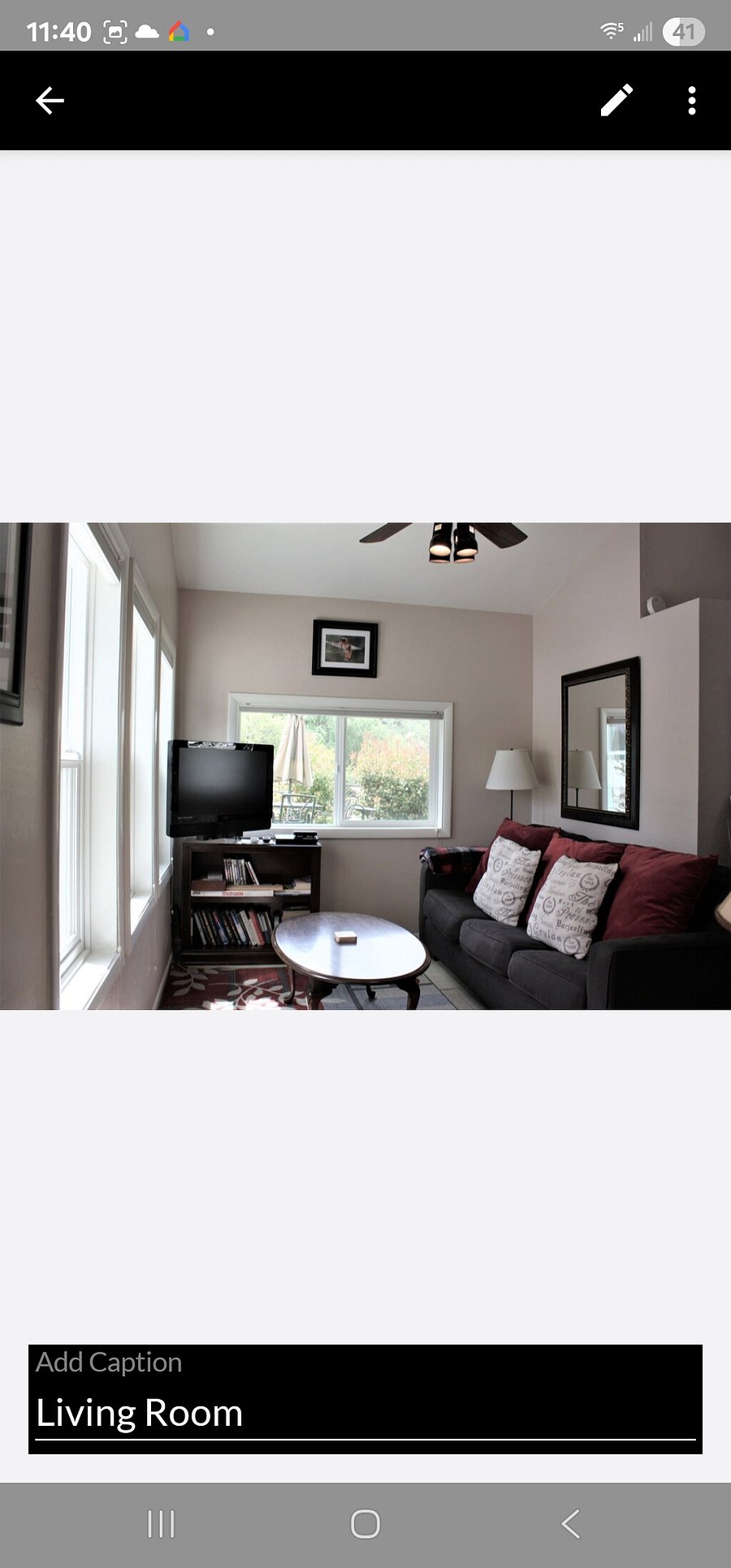 Living room with sleeper couch