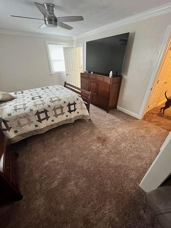 Furnished Finder property 1033543_1 photo 12