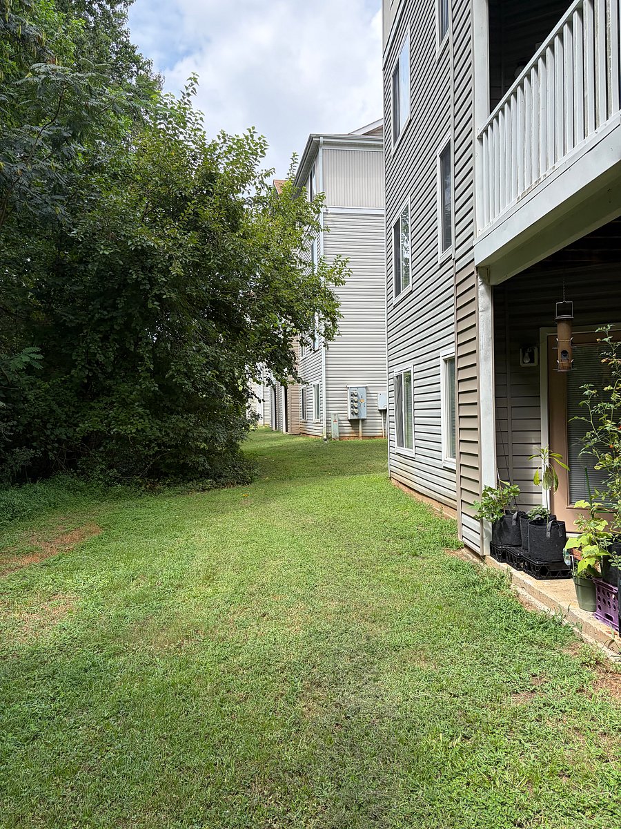 Furnished Finder property 1033587_1 photo 7