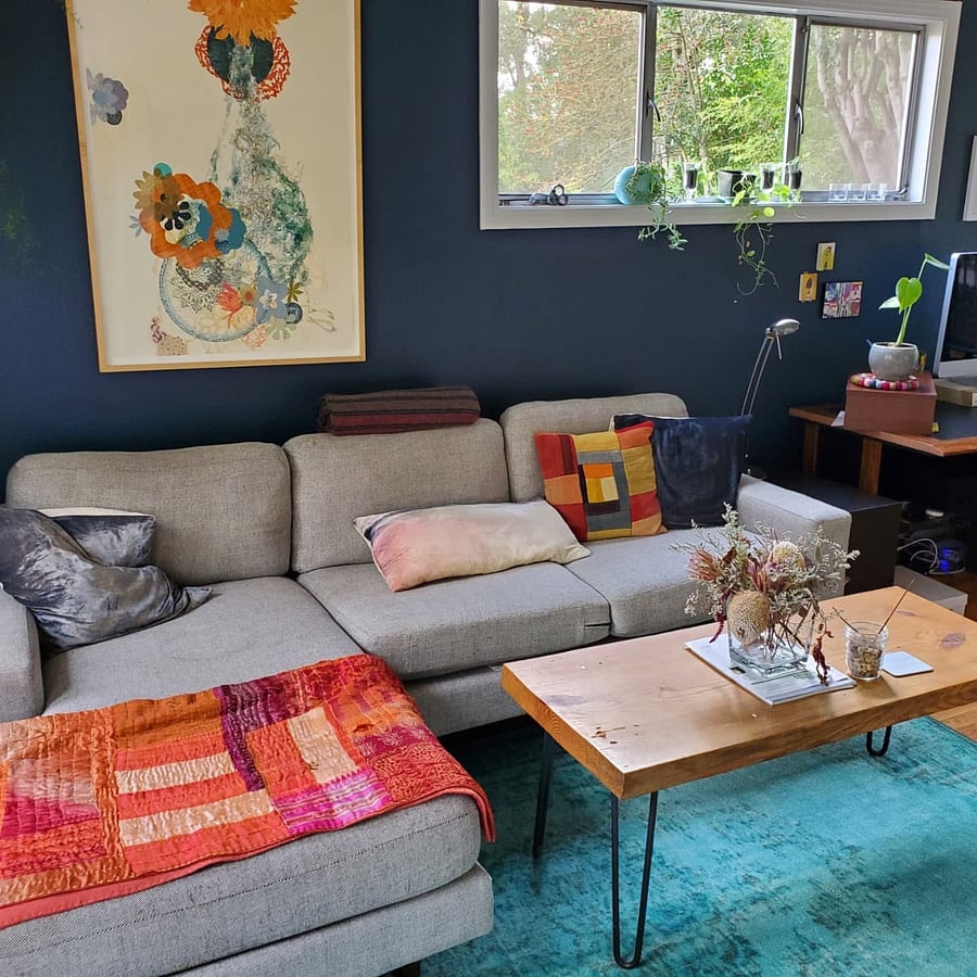 TV room/office
