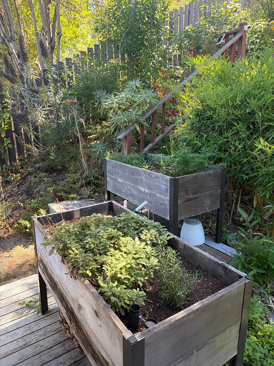 herb garden