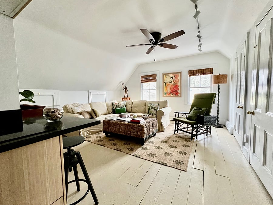 Open living room with pullout couch