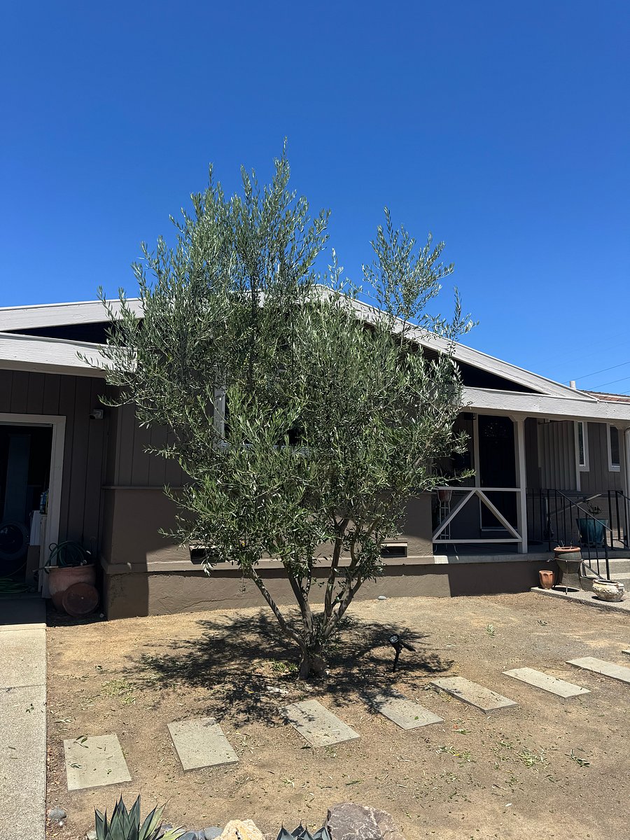 Furnished Finder property 1033693_1 photo 3
