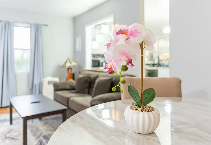 Furnished Finder property 1033727_1 photo 8