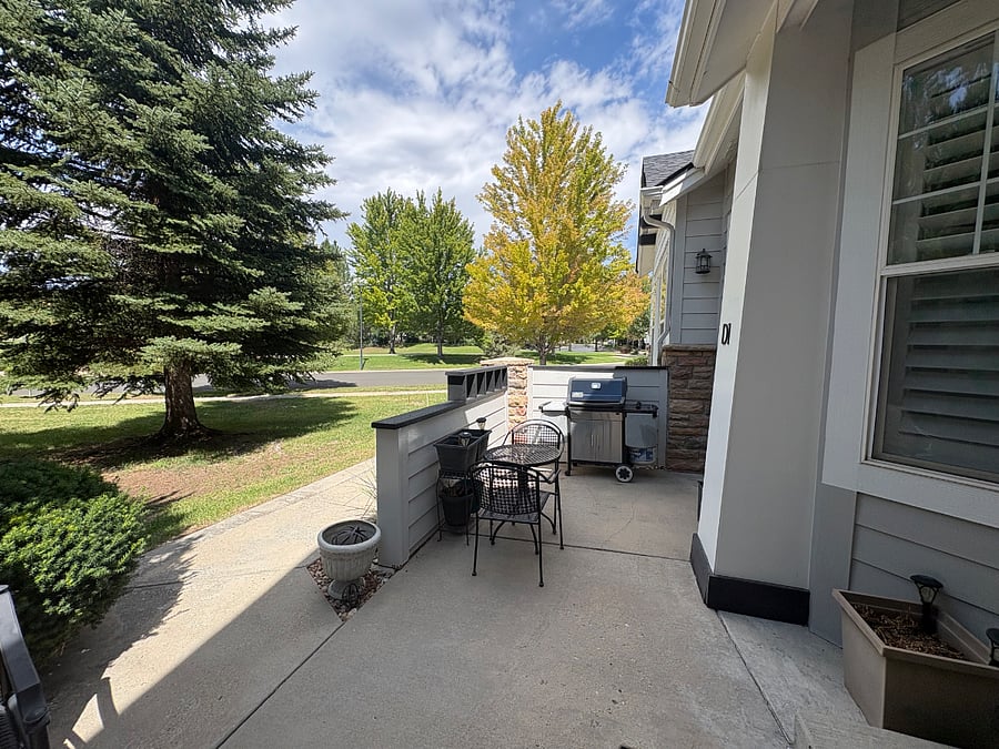 Front outdoor space with gas grill and view of the park.