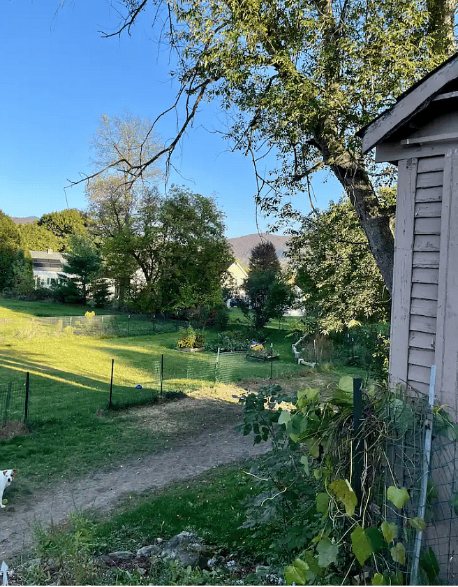 Fenced back yard.
