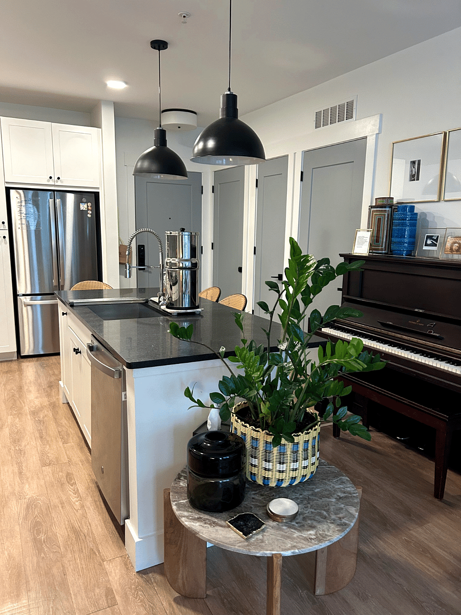 Furnished Finder property 1033765_1 photo 13