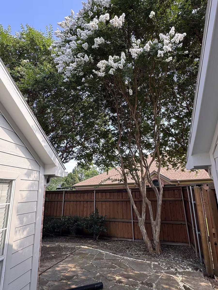 Furnished Finder property 1033775_1 photo 52