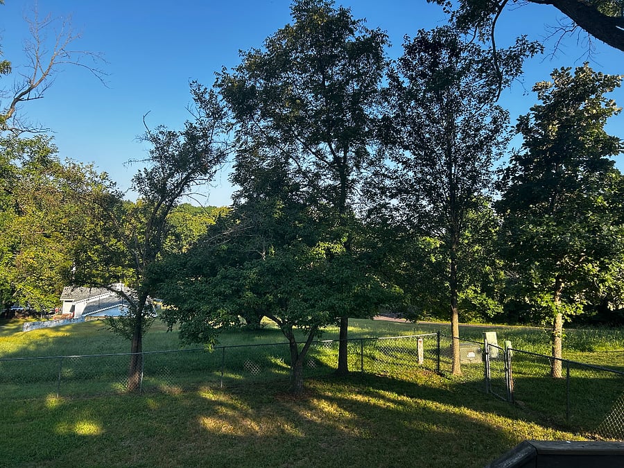 Furnished Finder property 1033781_1 photo 20