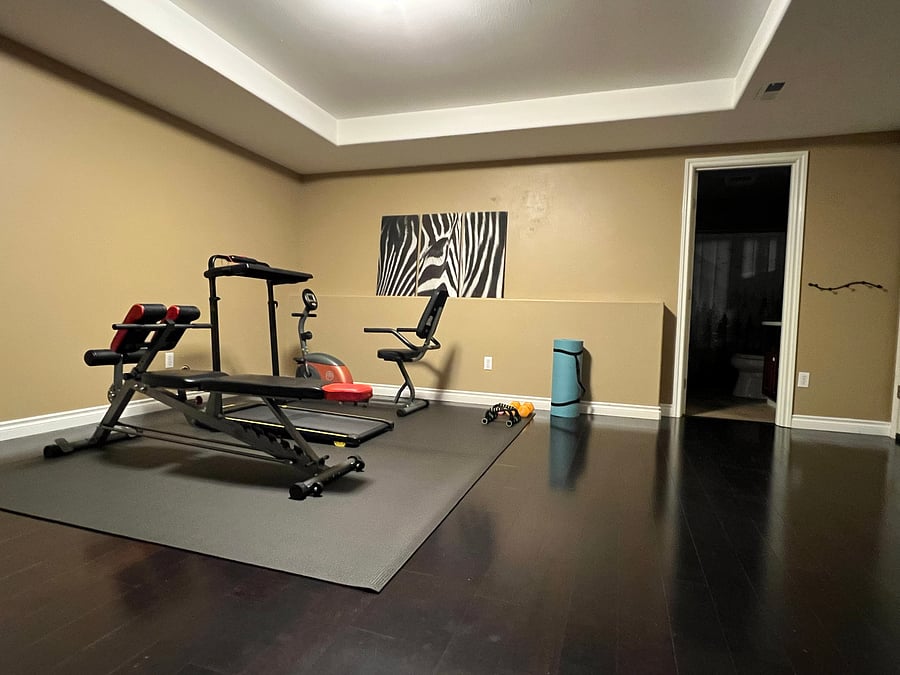 Basement: This is your gym. It has a treadmill (only goes up to 7mph), recumbent bike, and workout bench with a few super light weights and a brand new yoga mat.