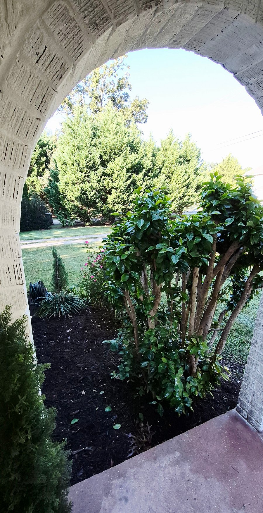 Furnished Finder property 1033855_1 photo 4