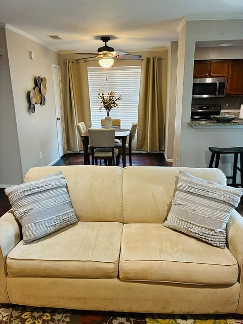 Furnished Finder property 1033868_1 photo 16