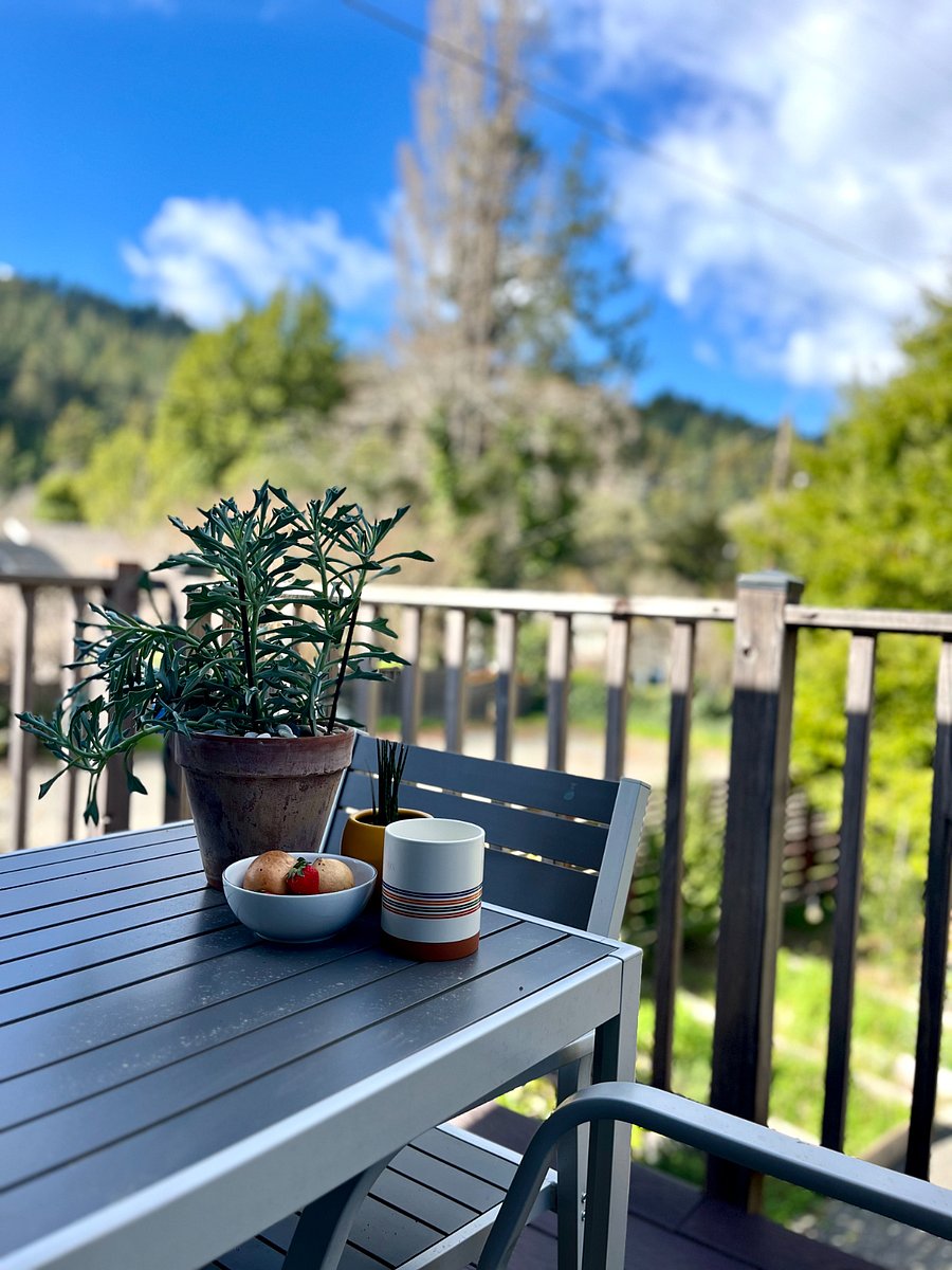 Coffee and breakfast on the outdoor deck overlooking the redwoods.