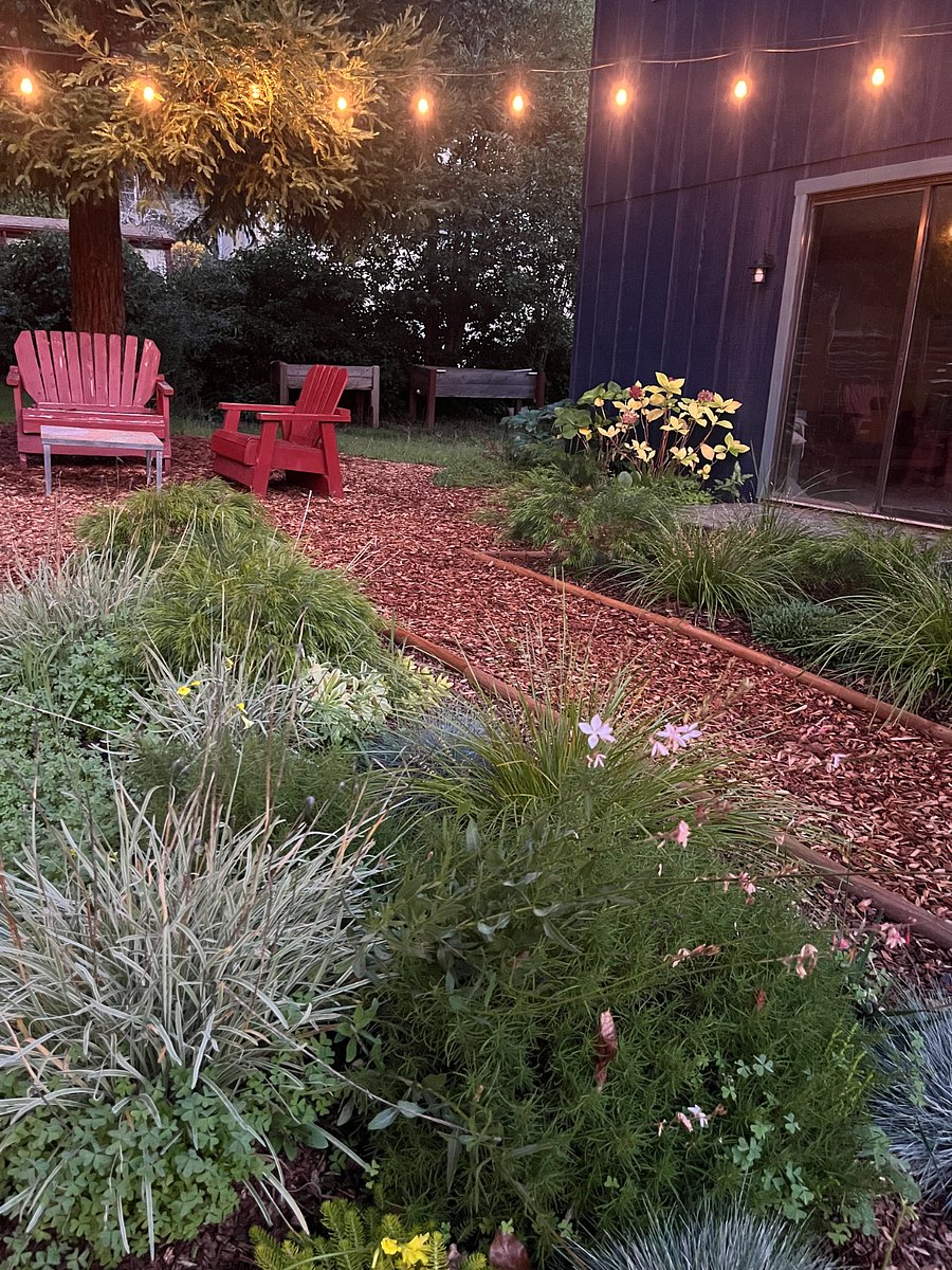 Dusk in the landscaped garden.