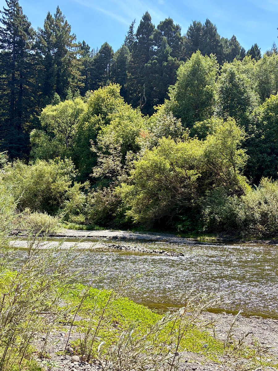 River beach just a few minutes' walk from the house.