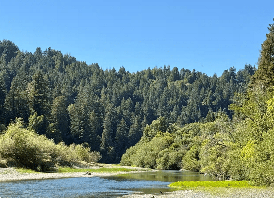 River beach just a few minutes' drive from the house.