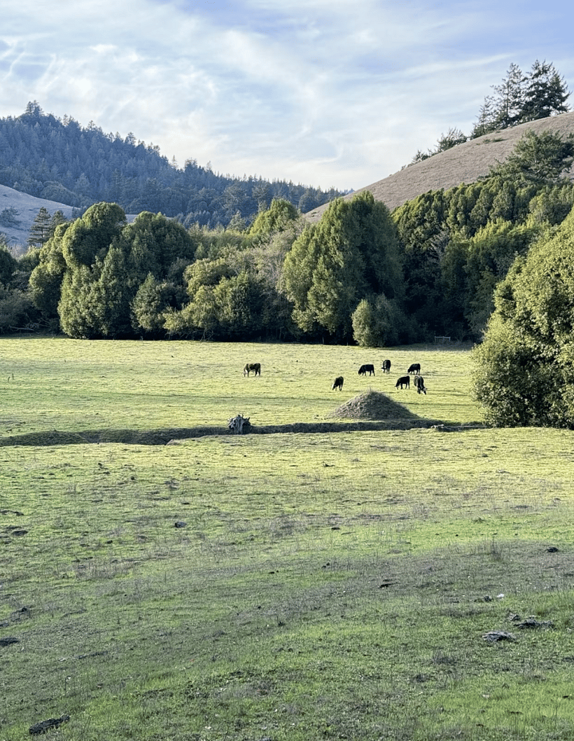 A nearby hike starts at a pasture.