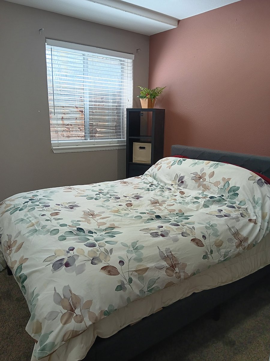 Furnished Finder property 1033920_1 photo 9