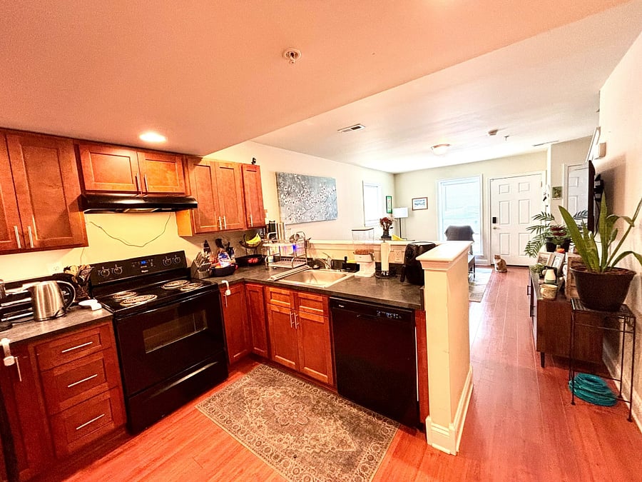 Furnished Finder property 1033929_1 photo 13