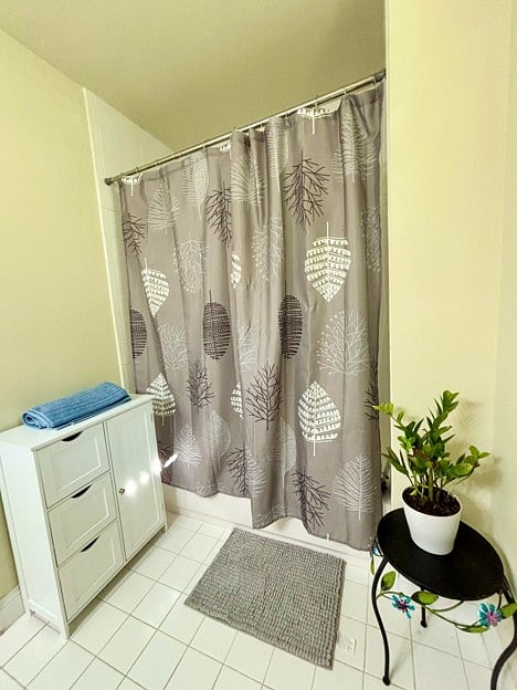 Furnished Finder property 1033929_1 photo 9