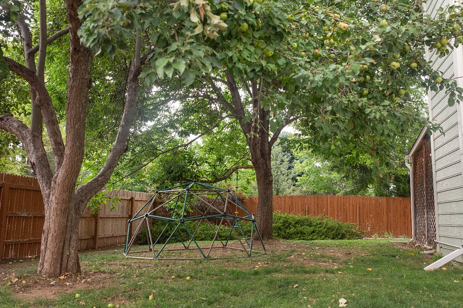 Side yard