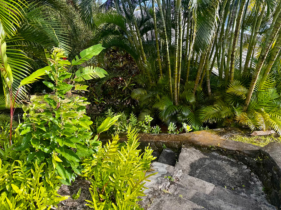 Furnished Finder property 1034070_1 photo 15