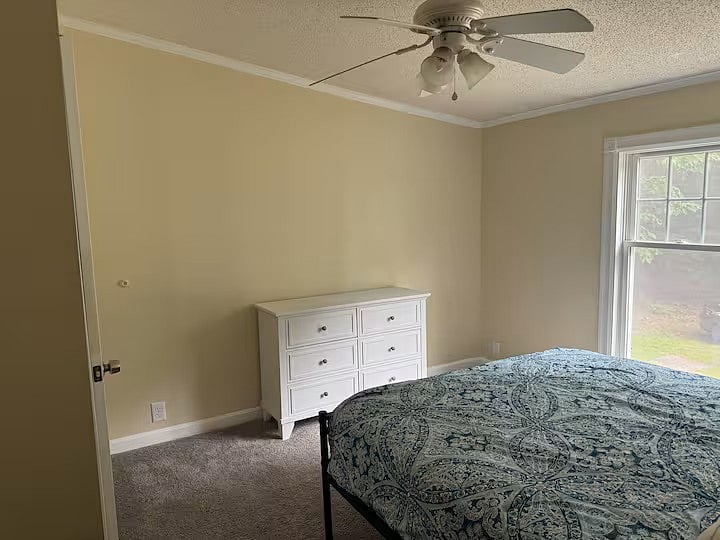 Furnished Finder property 1034302_1 photo 13