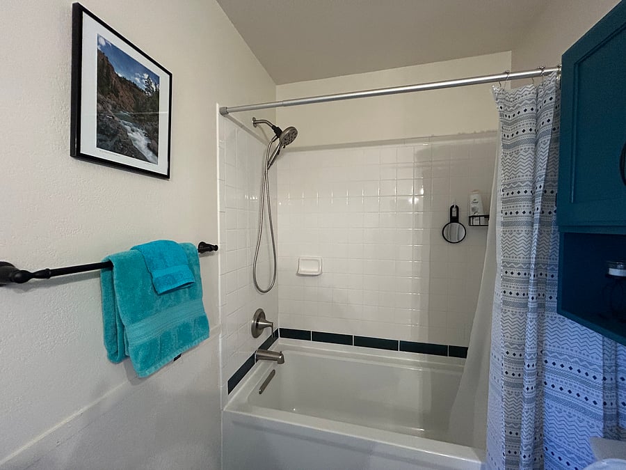 Master bath with a soaking tub