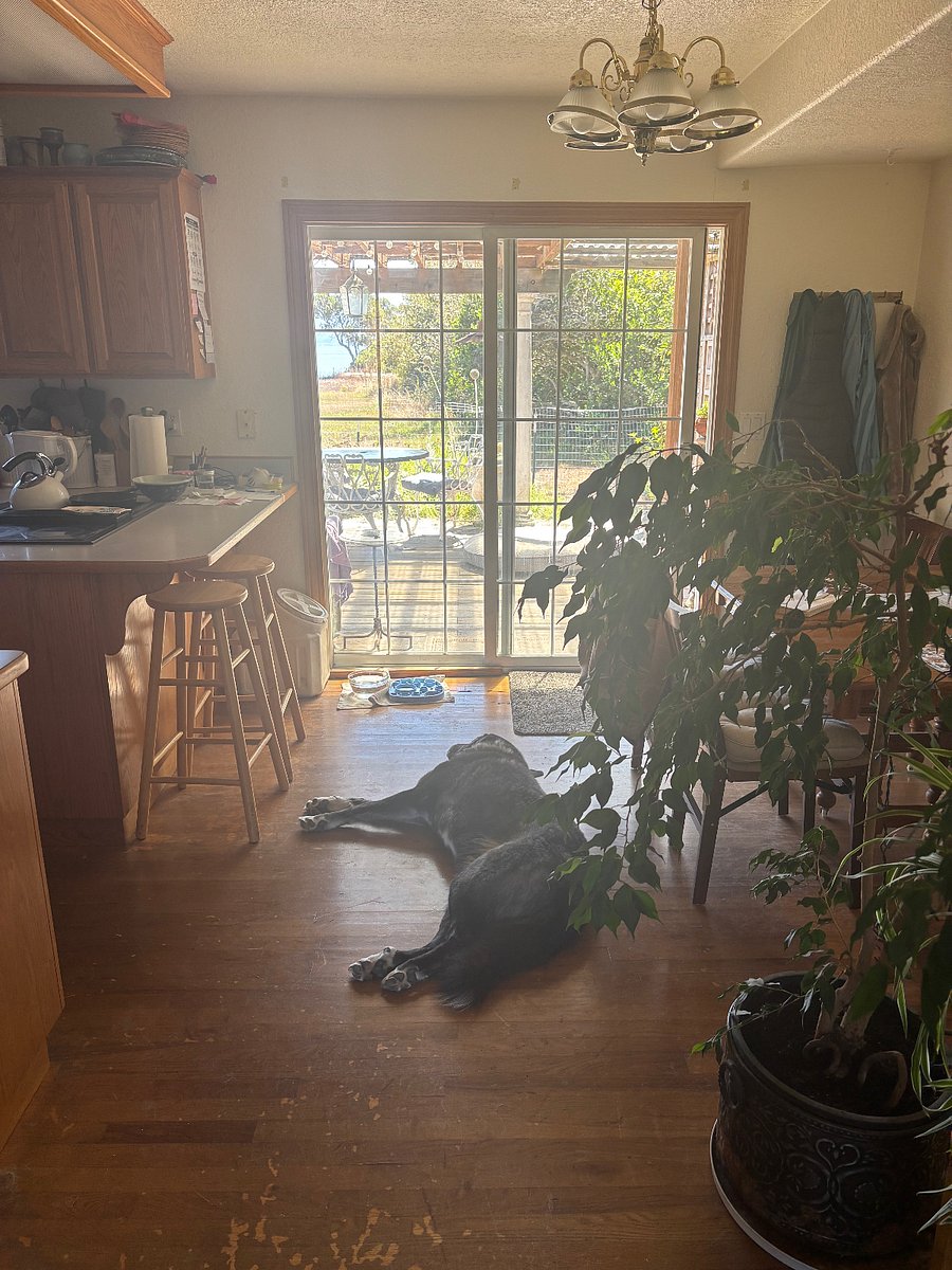 Furnished Finder property 1034341_1 photo 10