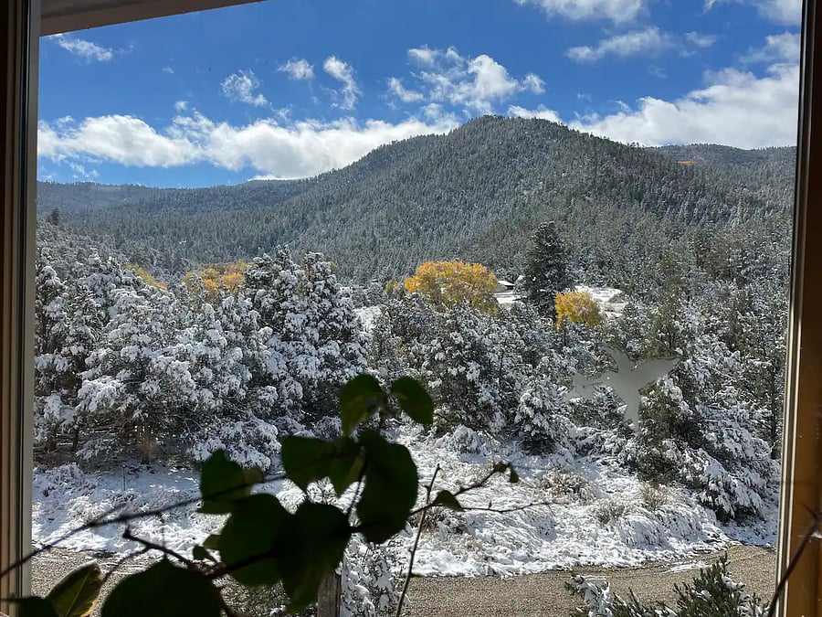 Master Bedroom View