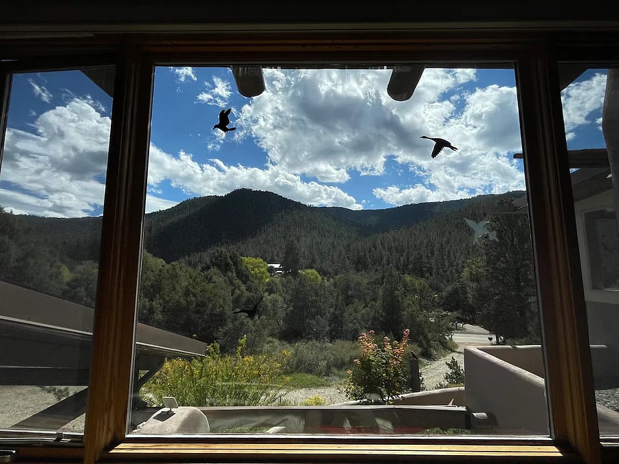 View from Master Bed