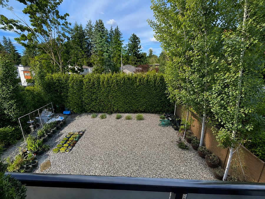 Landscaped surroundings with mature privacy greenery