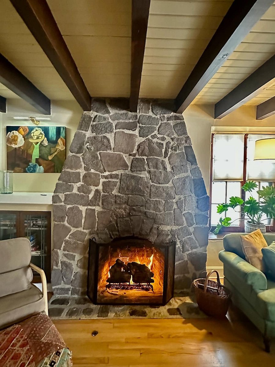 Gas fireplace