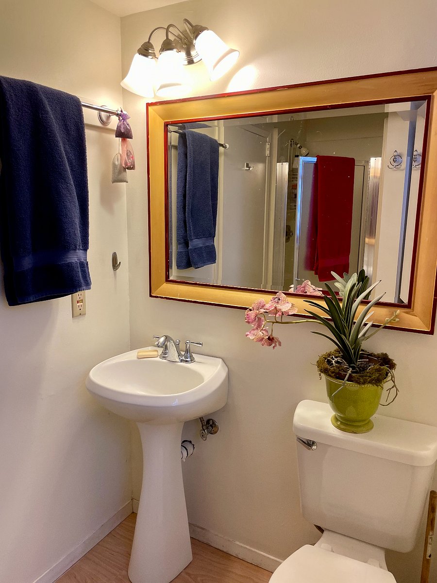 Furnished Finder property 1034957_1 photo 7