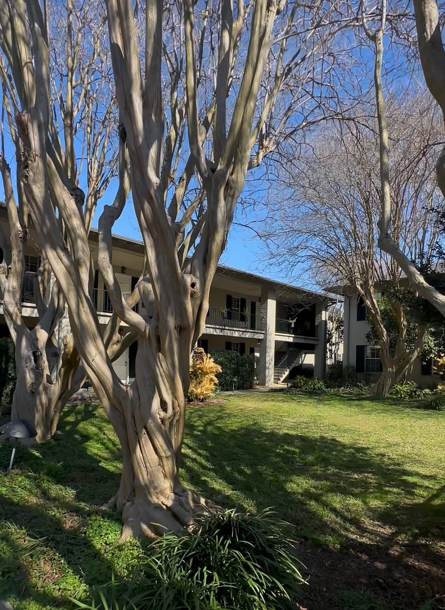 Furnished Finder property 1034963_1 photo 6