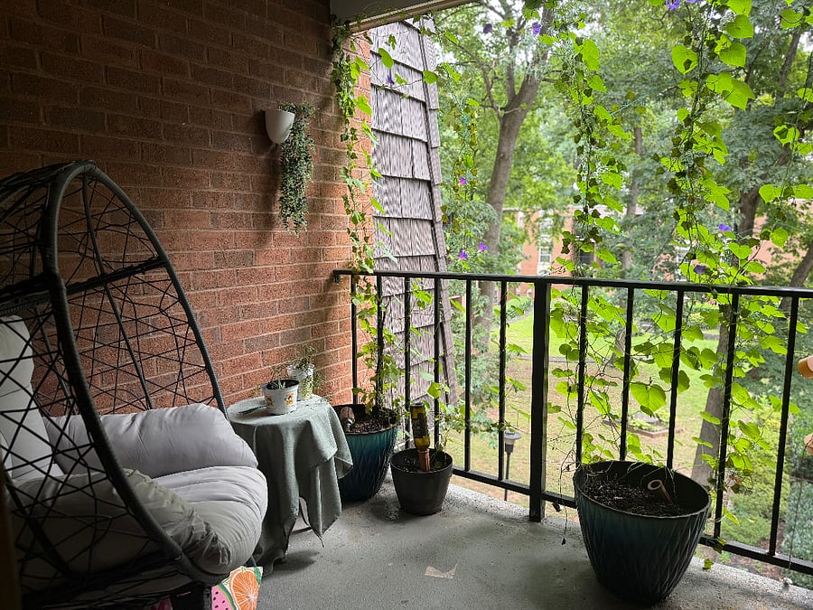 Furnished Finder property 1035012_1 photo 16