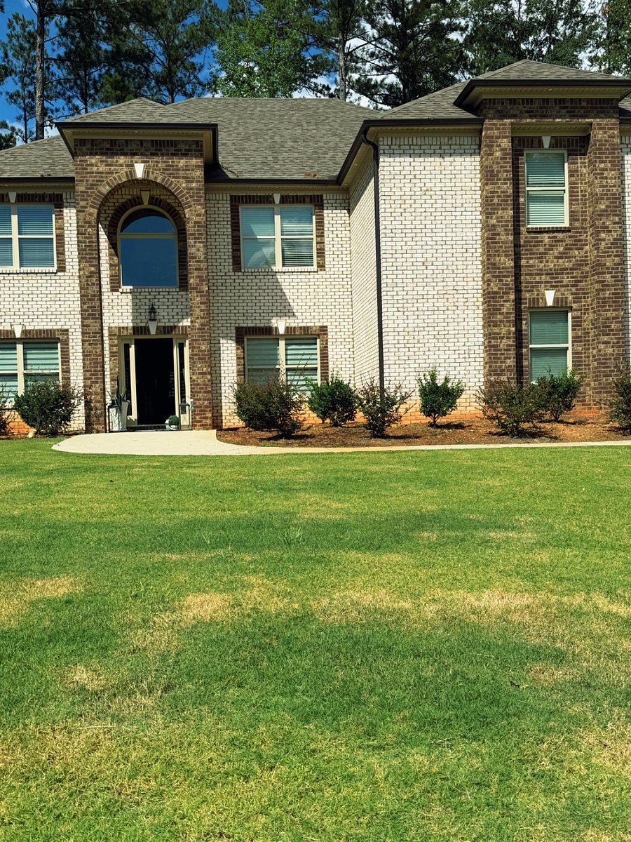 Furnished Finder property 1035022_1 photo 9