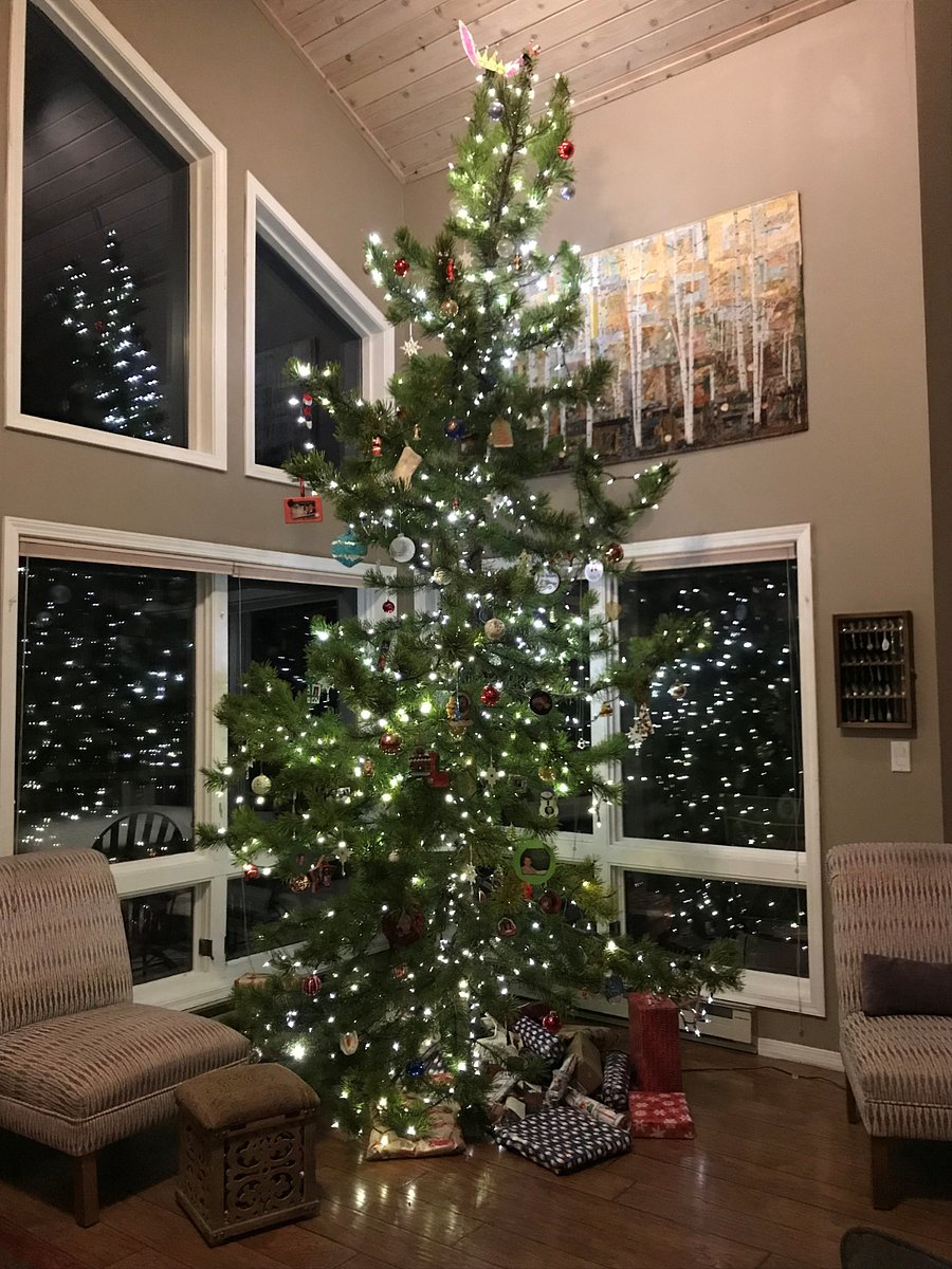 15 foot christmas tree 