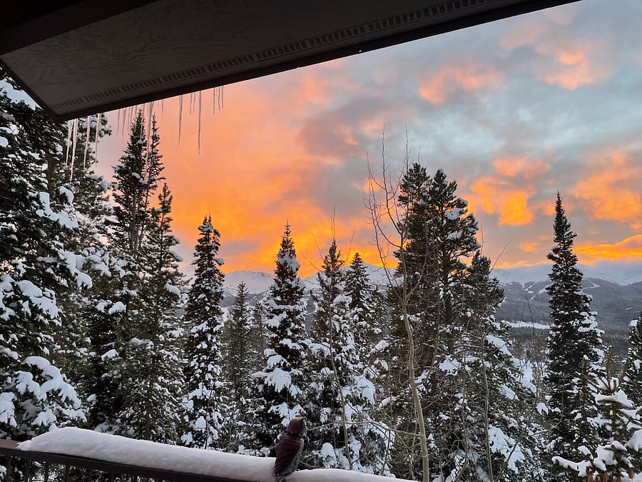 sunset from the back deck