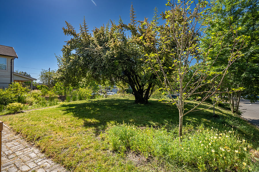Furnished Finder property 1035044_1 photo 9