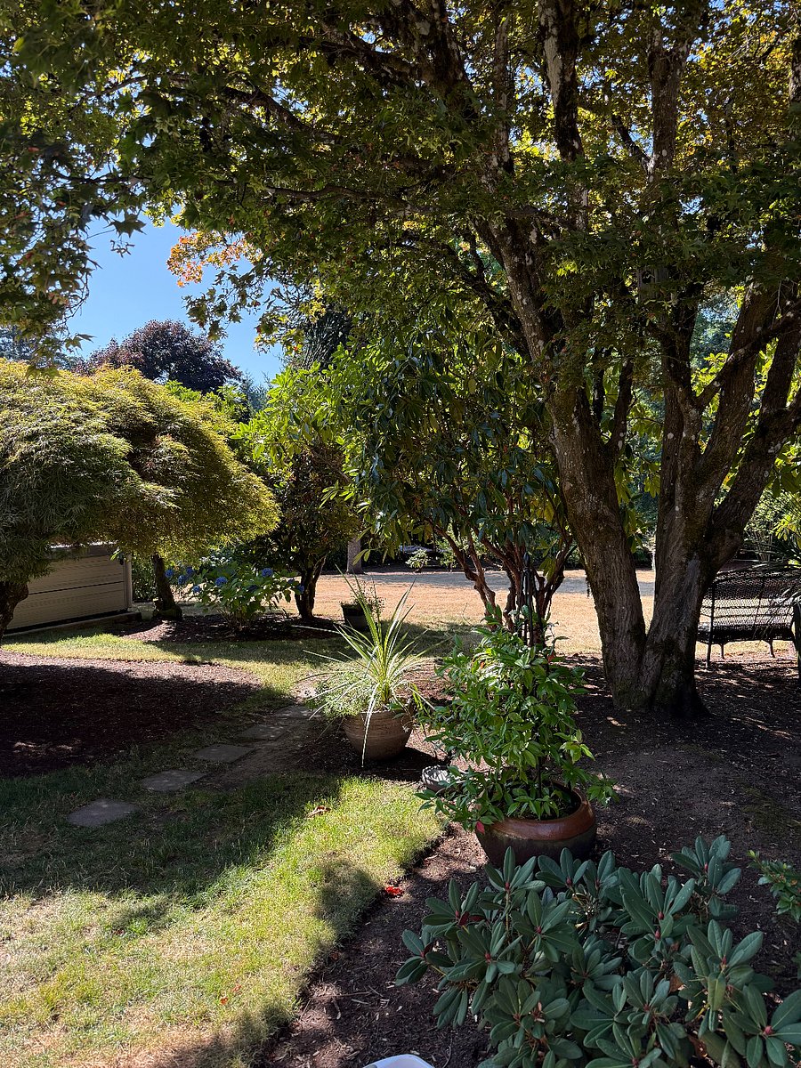 Furnished Finder property 1035046_1 photo 7