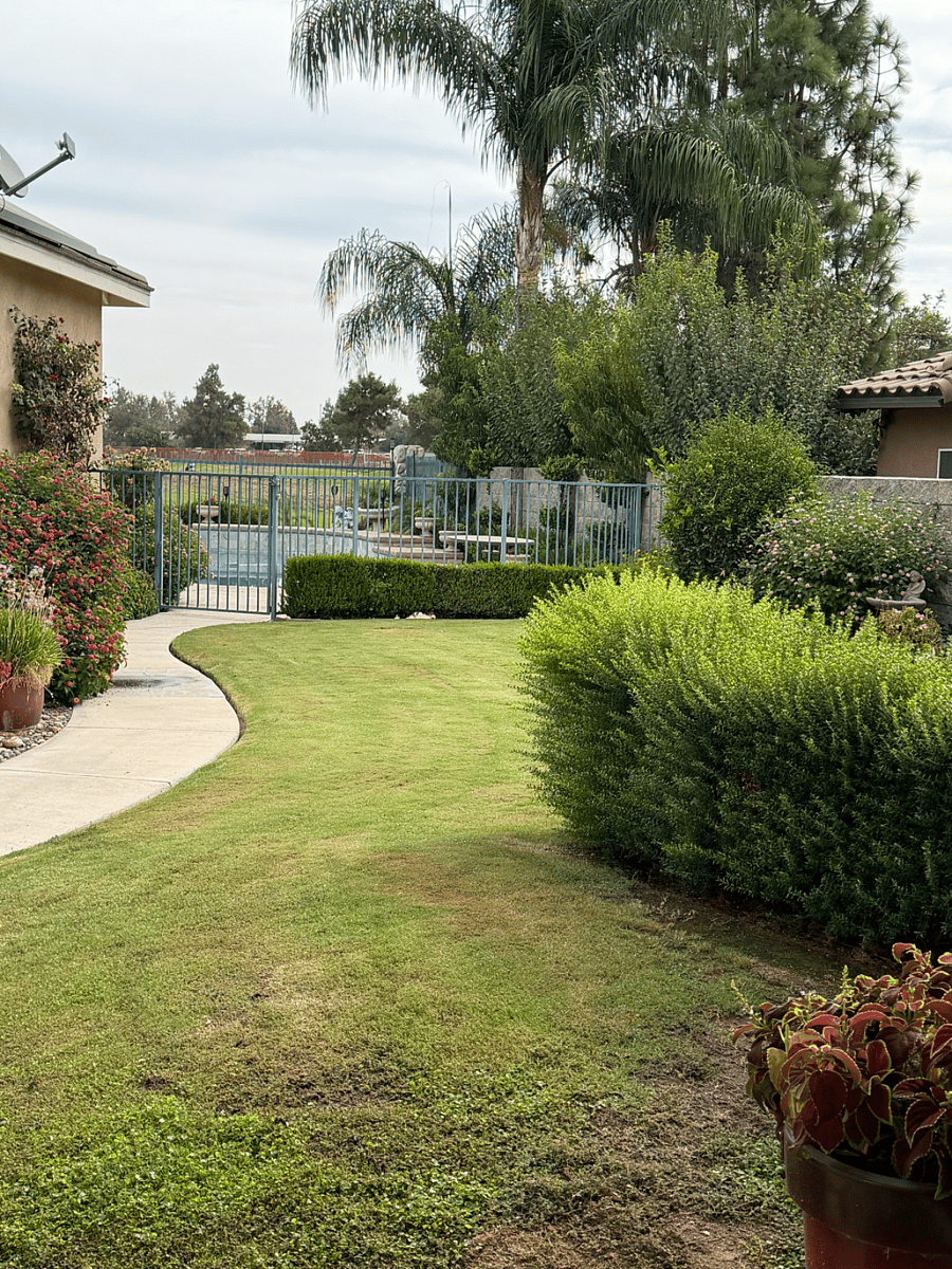 Furnished Finder property 1035087_1 photo 10